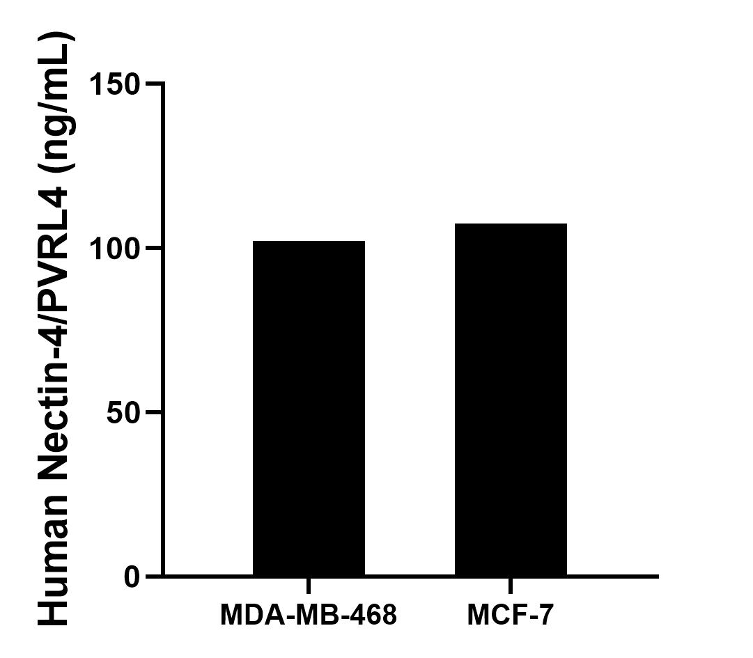 Sample test of MP00147-4